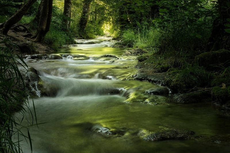 ruisseau