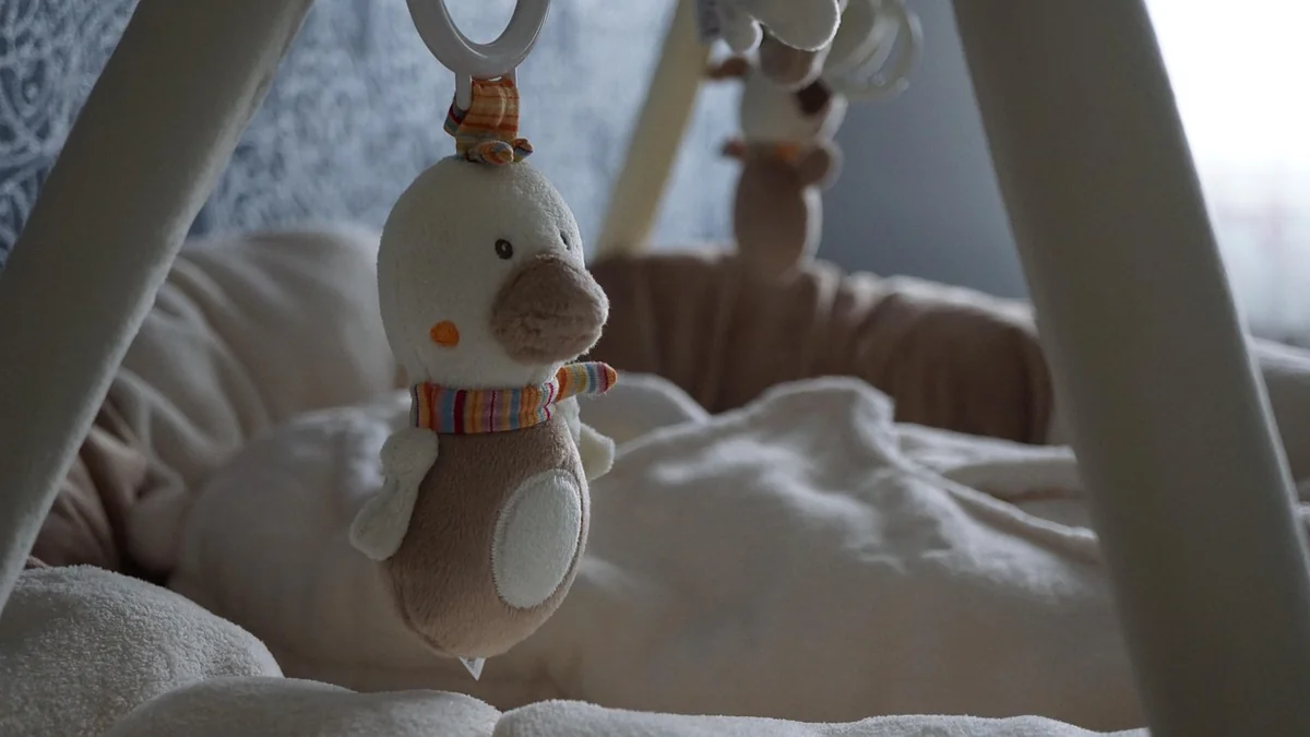 Licht, Luft und Klima: Die unterschätzten Faktoren