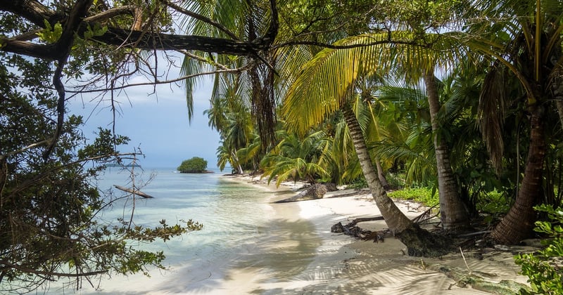 Colon Panama entdecken: Geschichte, Kultur und Karibikflair