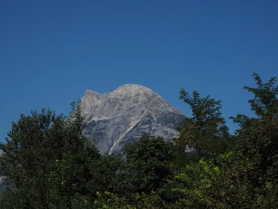 hohe munde